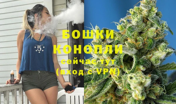 молекула духа Новокубанск
