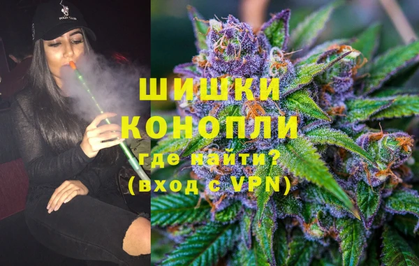 PSILOCYBIN Няндома