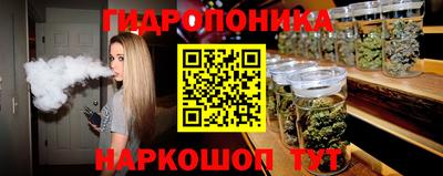 гидропоника Ипатово