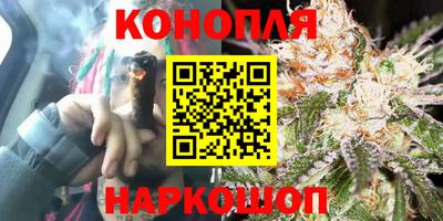 шишки Ирбит