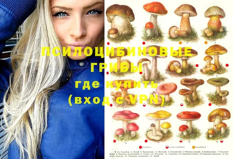 Псилоцибиновые грибы Magic Shrooms  Нарьян-Мар 