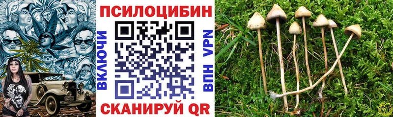 Псилоцибиновые грибы ЛСД  маркетплейс состав  Нарьян-Мар 