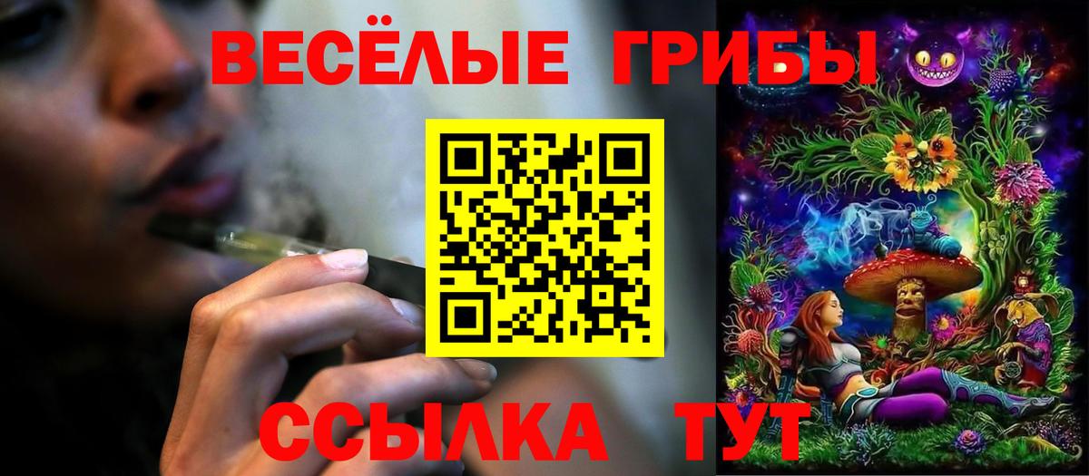 Псилоцибиновые грибы Psilocybe  Нарьян-Мар 