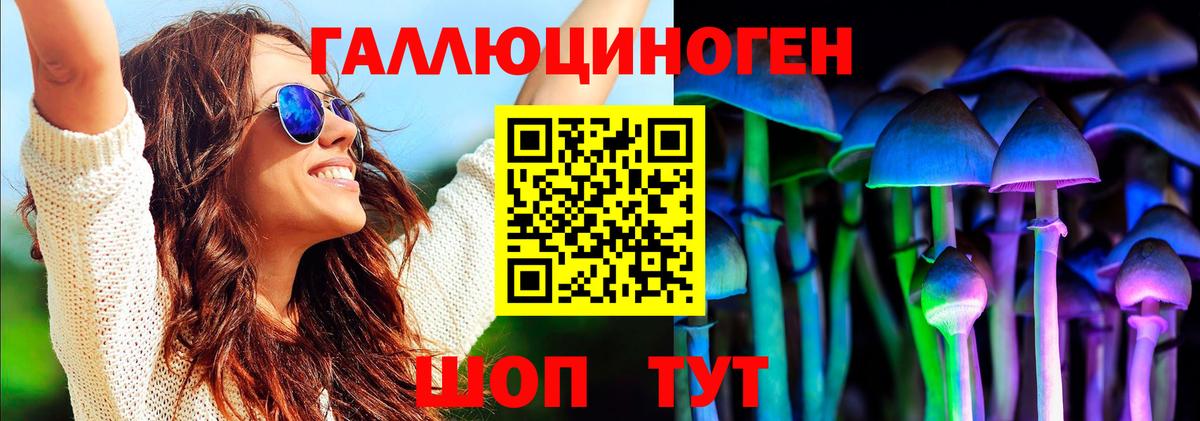 Нарьян-Мар  Галлюциногенные грибы Cubensis  Вход с VPN 