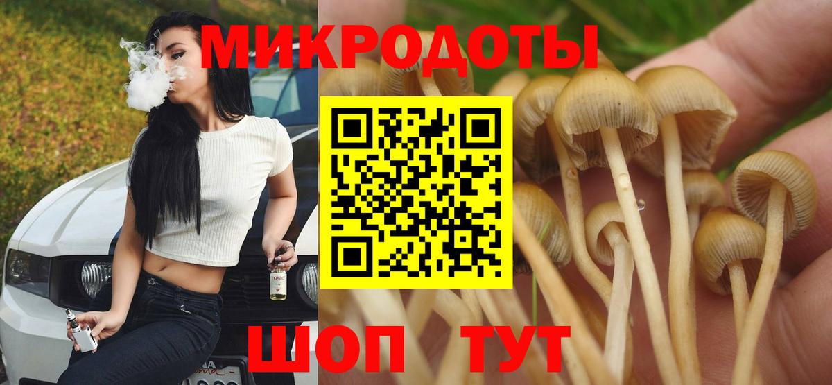 Галлюциногенные грибы Cubensis Нарьян-Мар